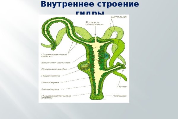 Омг тор браузер